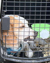 Jann awaiting release