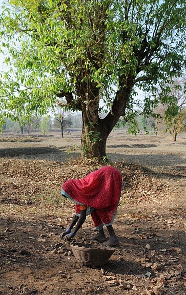Bite by Bite: Transform Communities with Nutrition