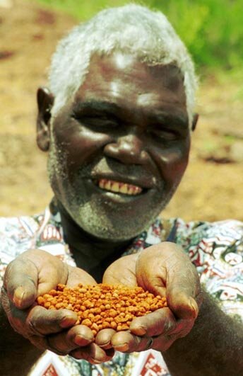 Bite by Bite: Transform Communities with Nutrition