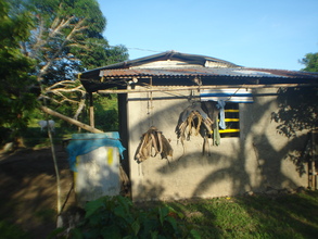 rain harvesting contrapment
