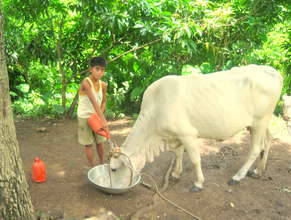 Christopher fetching water for their cows