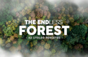 THE ENDless FOREST - a documentary