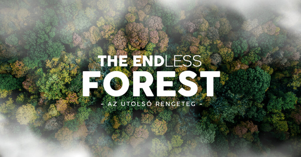 THE ENDless FOREST - a documentary