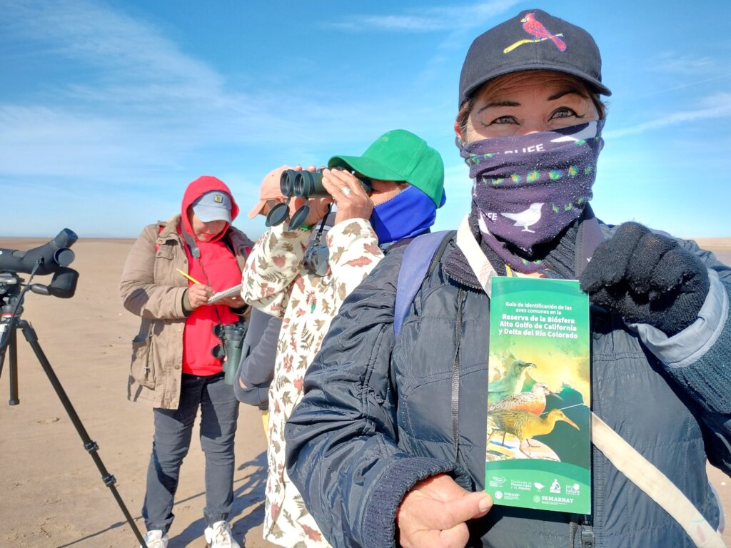 Guide for Identifying Common Birds
