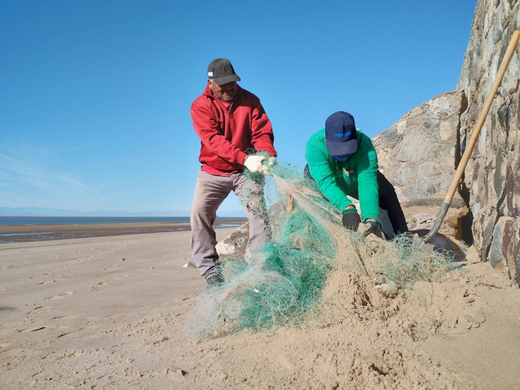 Collecting debris