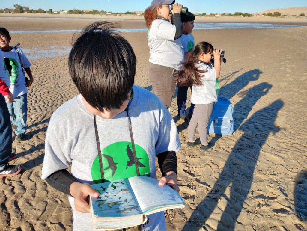 Bird Observation Circle