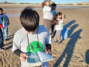 Bird Observation Circle