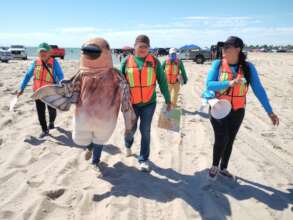Pizo the Red Knot mascot sharing information