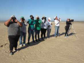 Monitoring waterbirds
