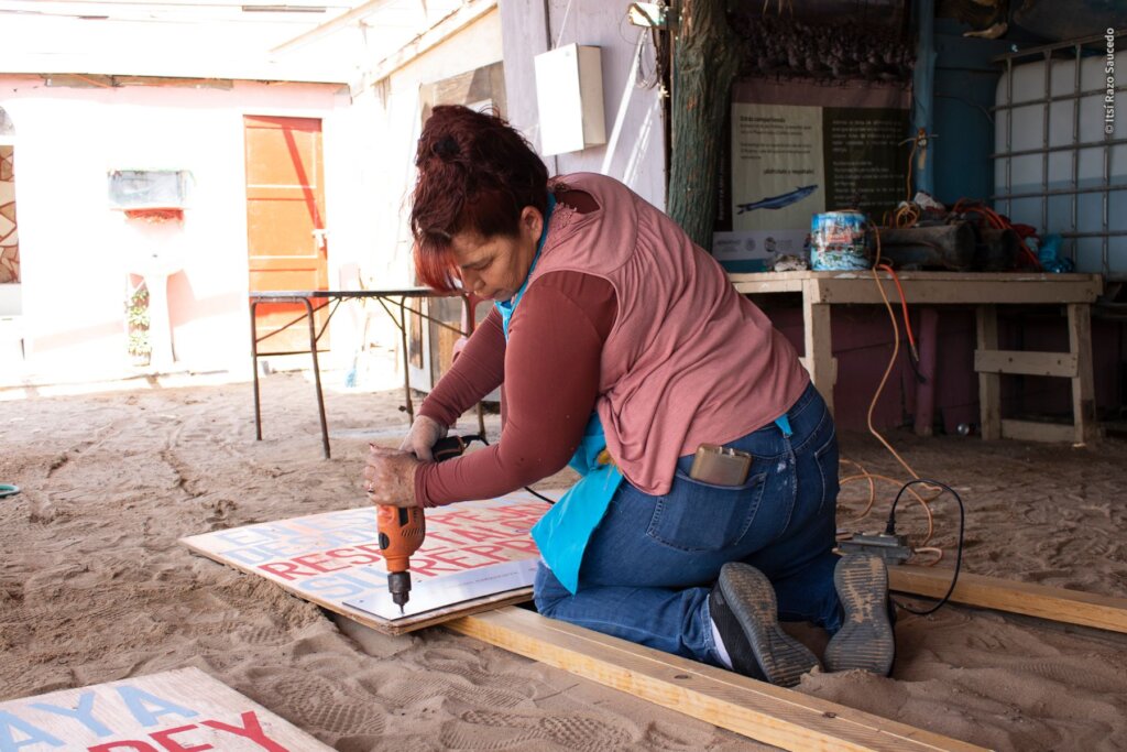 Empower Women to Save the Red Knot in Mexico