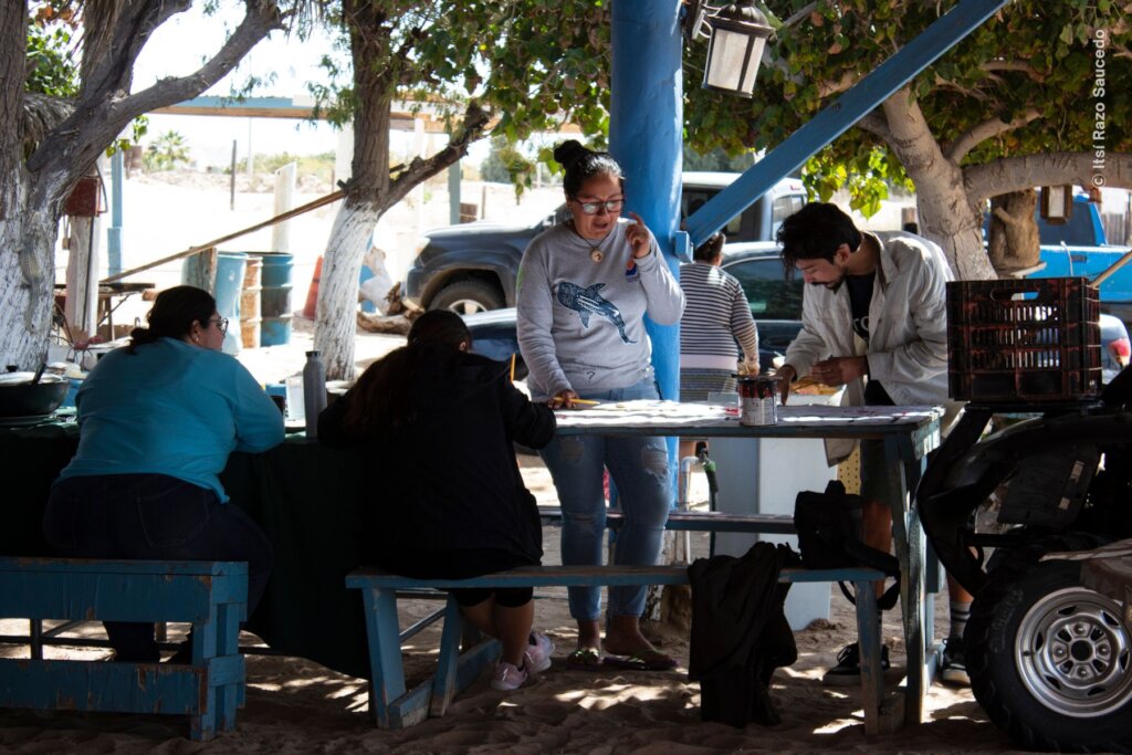 Empower Women to Save the Red Knot in Mexico