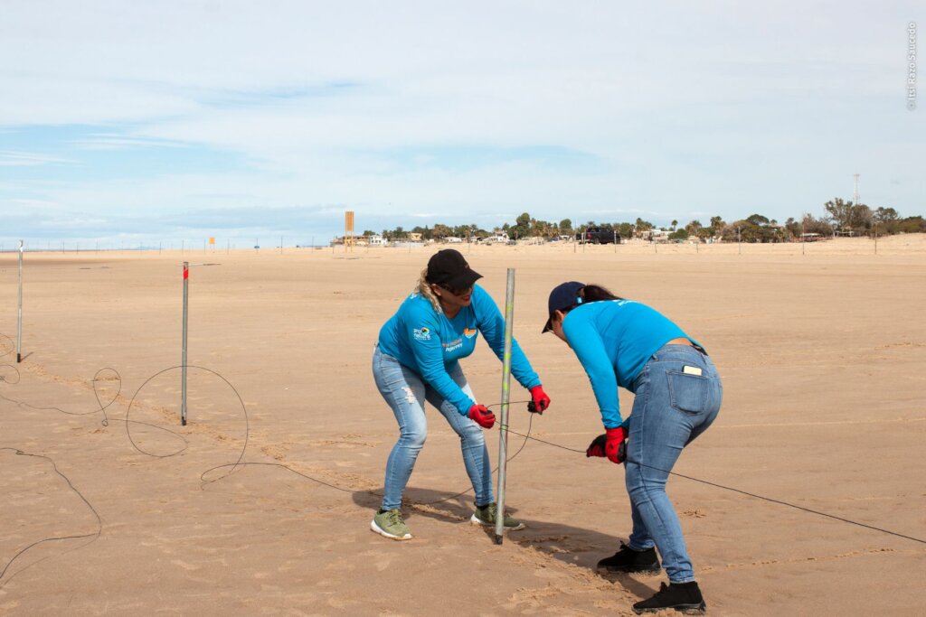 Empower Women to Save the Red Knot in Mexico