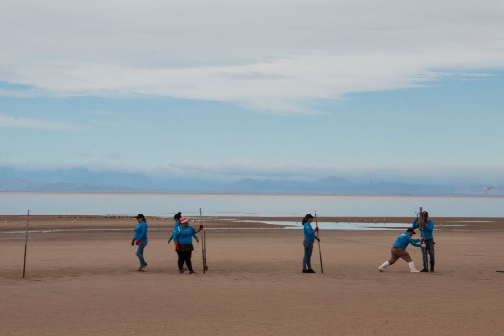 Empower Women to Save the Red Knot in Mexico