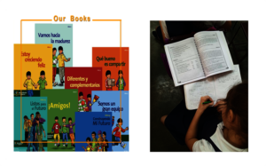 our books and student using them