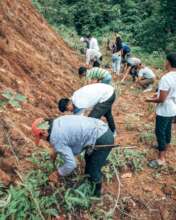 Santo Nino NHS Community Planting