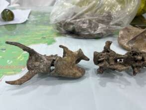 Seized bones