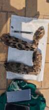 Seized leopard parts