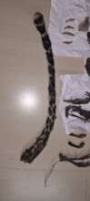 Seized leopard parts