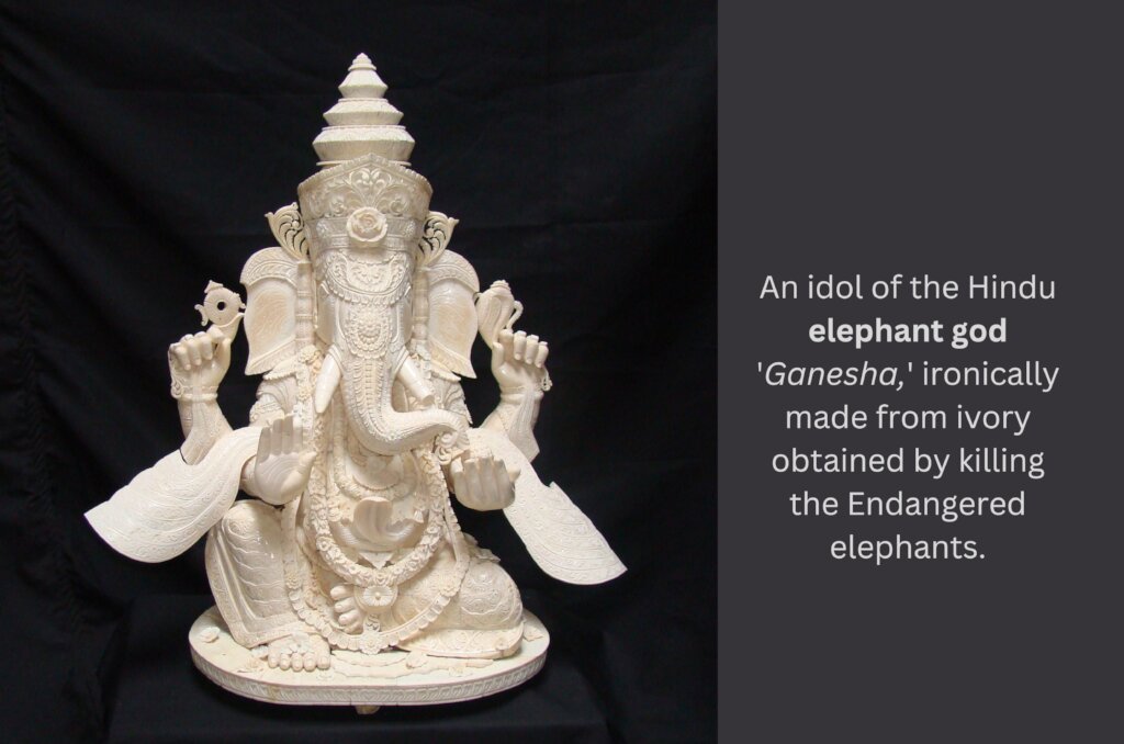 Save Indian Wildlife from Poaching & Illegal Trade