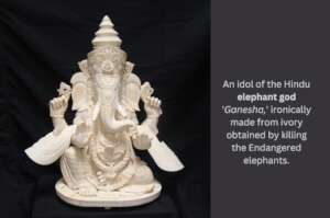 Lord Ganesh idol made of Ivory