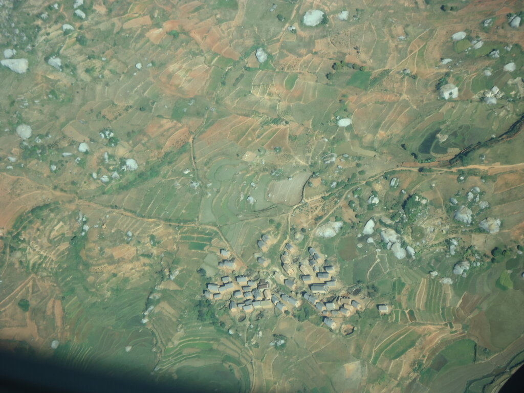 Halt Lighting Deprivation