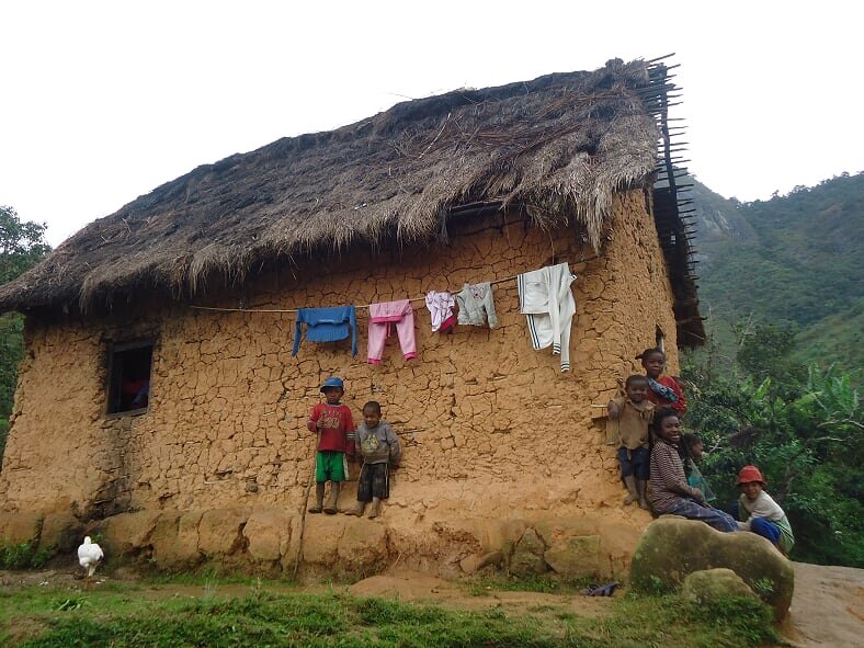 Halt Lighting Deprivation