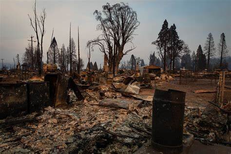 Monument Mitigation - Wildfire Clean up