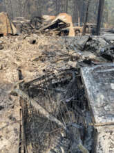 Wildfire Debris