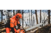 Monument Mitigation - Wildfire Clean up