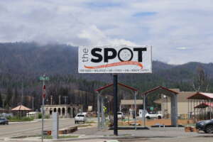 The Spot- Emerging Stronger and more resilient
