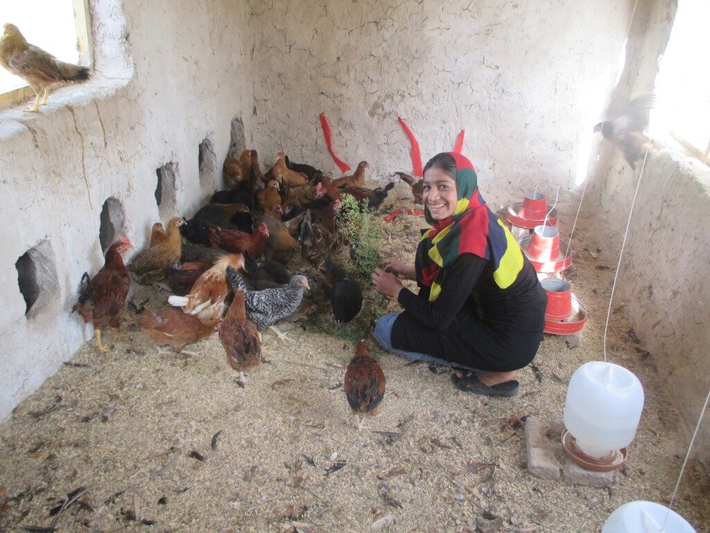 Nourish & Empower: Afghan Women's Poultry Pathway