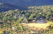 Regeneration of Degraded Forest