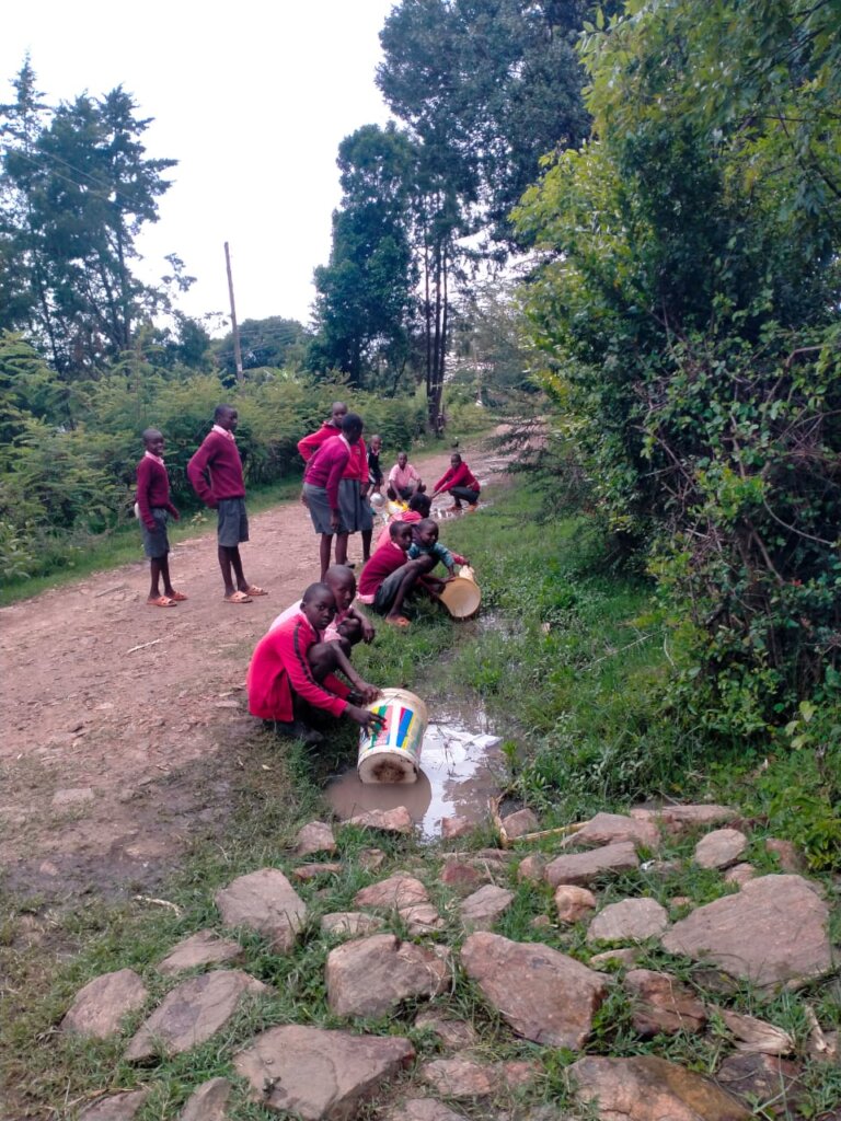 Help bring Clean Water to Rural Schools in Kenya !