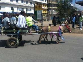 Donkey Cart Race Fundraiser
