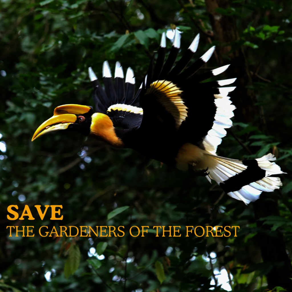 Saving the gardeners of the forest
