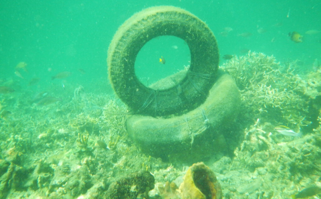 Community-Based Coral Reef Rehabilitation
