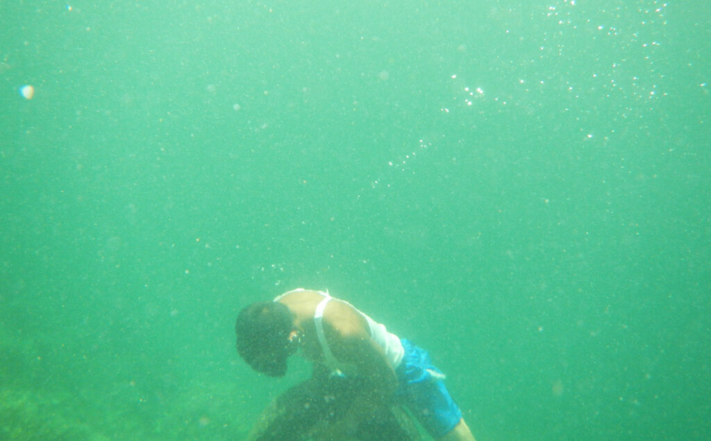 Community-Based Coral Reef Rehabilitation