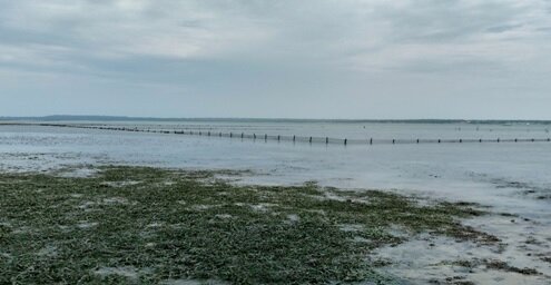 Marine conservation on Tumbatu Island, Tanzania