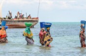 Marine conservation on Tumbatu Island, Tanzania