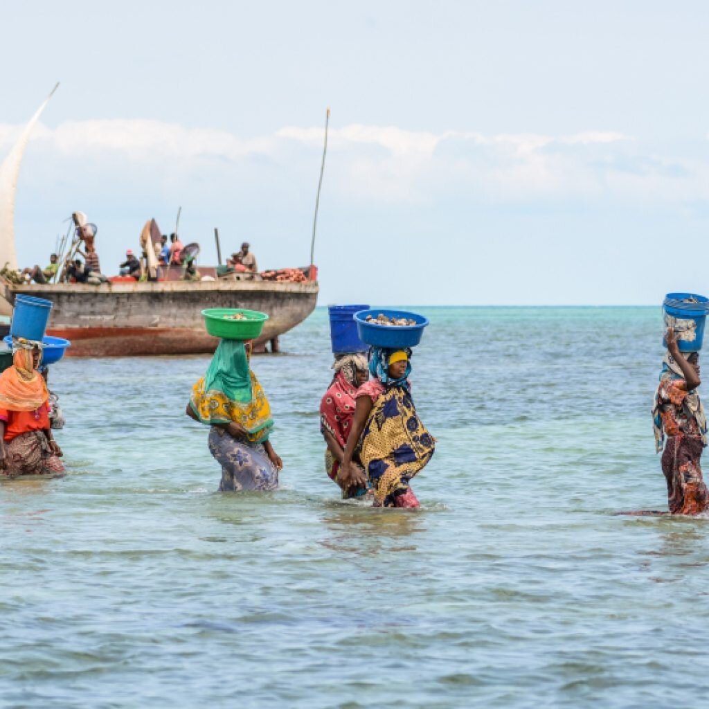Marine conservation on Tumbatu Island, Tanzania