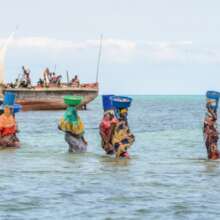 Marine conservation on Tumbatu Island, Tanzania
