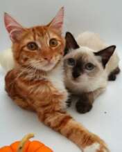 Mia & Conan