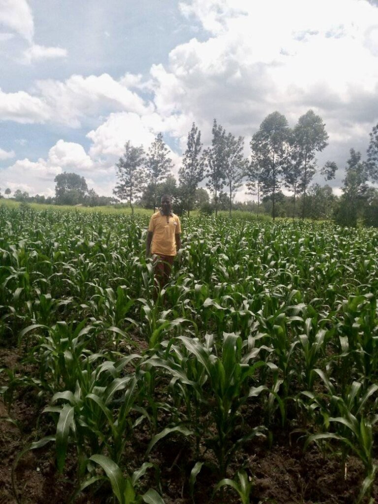 Support Kenyan Orphans: Food, Education & Shelter