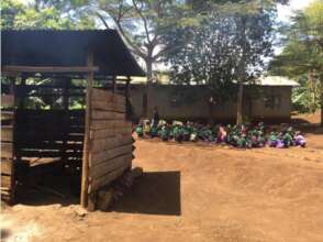 Schoolyard of the local school.