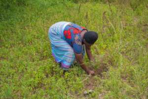 When home, she planted her first new tree.