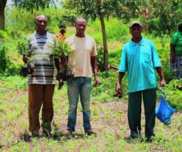 Farmers with new seedlings