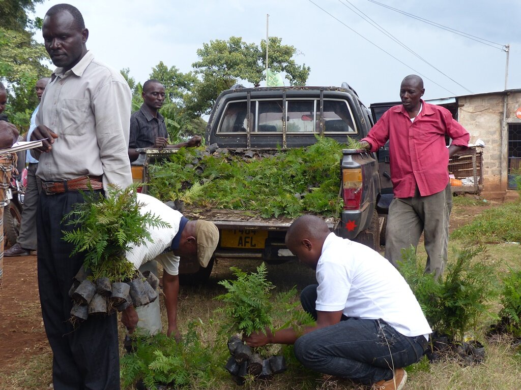 Offsetting CO2 by planting trees in Tanzania.