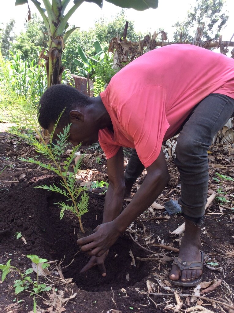 Offsetting CO2 by planting trees in Tanzania.