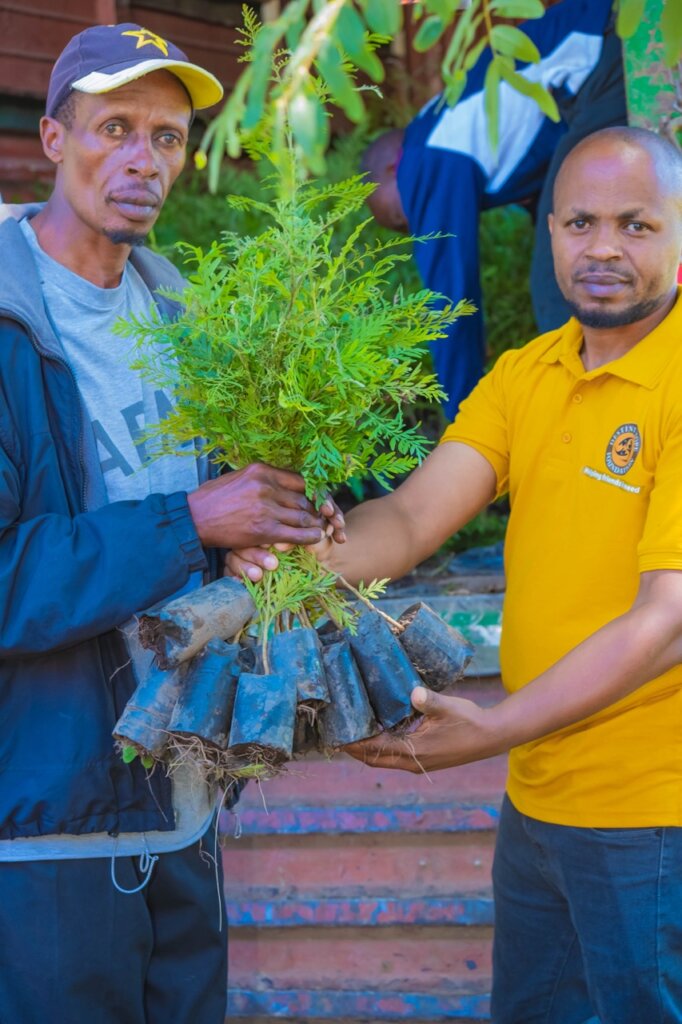 Offsetting CO2 by planting trees in Tanzania.