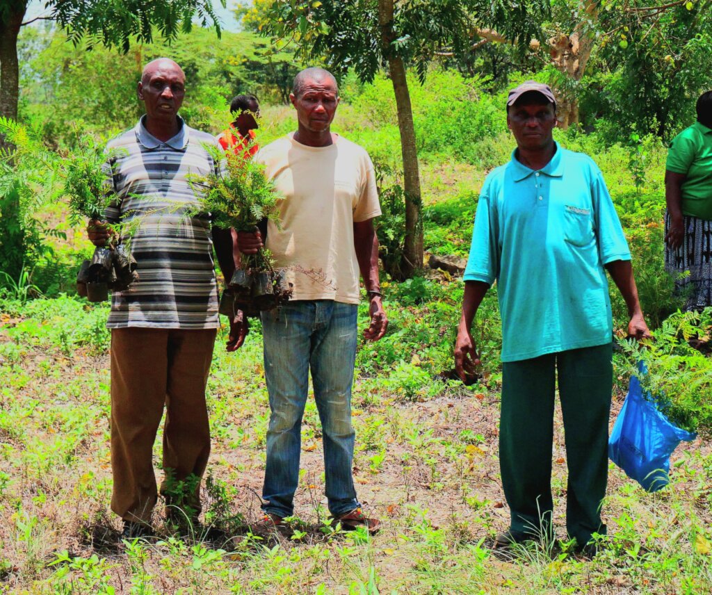 Offsetting CO2 by planting trees in Tanzania.